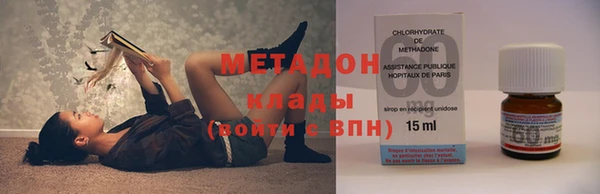 прущие грибы Ростов