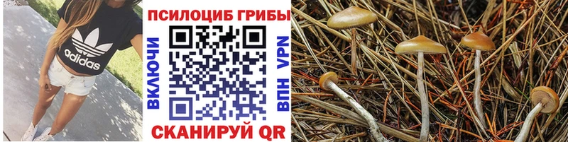 Галлюциногенные грибы GOLDEN TEACHER  Юрюзань 